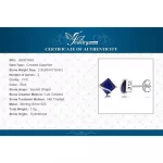 JewelryPalace Square 2.8ct Created Blue Sapphire 925 Sterling Silver Stud Earrings for Women Gemstone Fine Jewelry Birthday Gift - Image 7